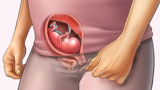 bai-viet/ngoi-thai-thuan-tuan-32-co-dau-hieu-gi-nhung-luu-y-can-biet-voi-me-bau-32-tuan.html