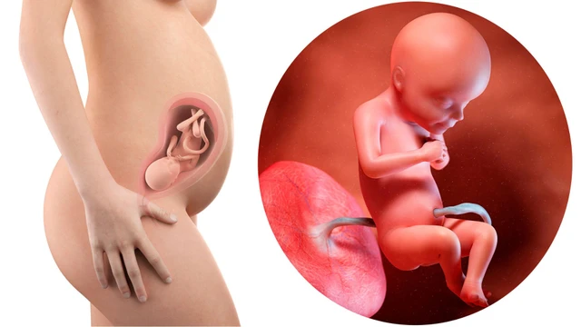 bai-viet/dau-hieu-thai-nhi-thieu-chat-la-gi-bien-phap-phong-ngua-thieu-chat-cho-me-va-be.html