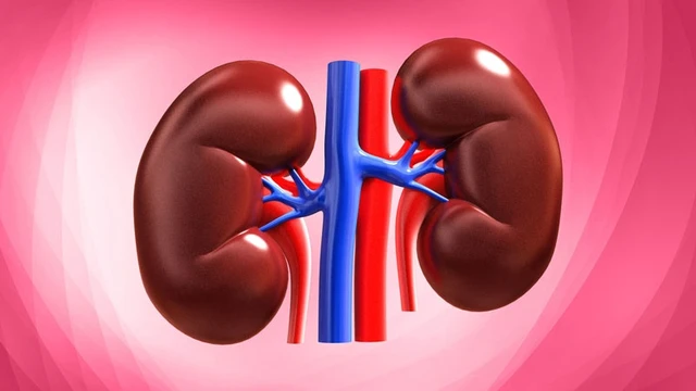 bai-viet/dau-hieu-than-co-van-de-va-nhung-dieu-ban-can-biet.html