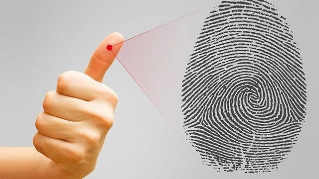 bai-viet/dau-van-tay-dna-la-gi-kiem-tra-van-tay-dna-nhu-the-nao.html