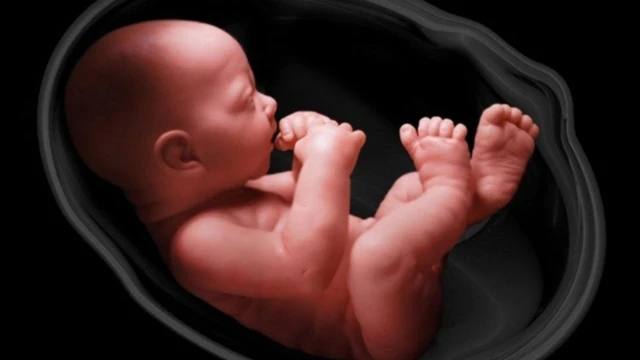 bai-viet/day-ron-quan-co-1-vong-sinh-thuong-duoc-khong-co-nguy-hiem-khong.html