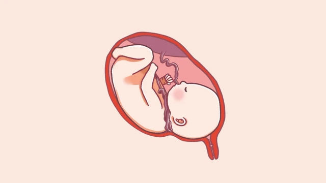 bai-viet/day-ron-quan-co-2-vong-sinh-thuong-duoc-khong.html