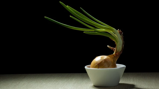 bai-viet/de-cu-hanh-tay-trong-phong-co-tac-dung-gi.html