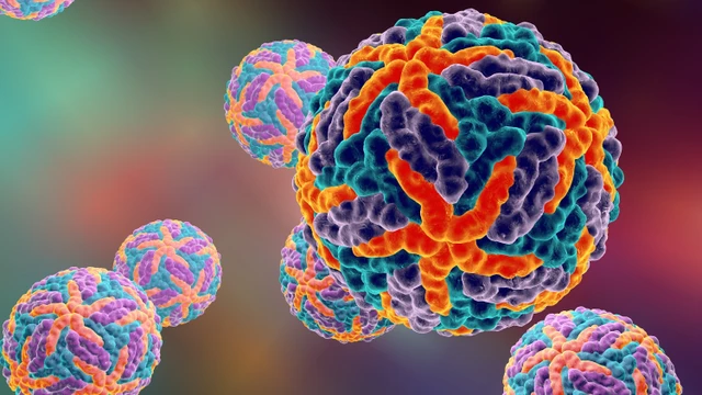 bai-viet/dengue-virus-la-gi-dengue-virus-gay-ra-benh-sot-xuat-huyet-co-may-loai.html