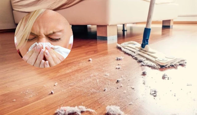 bai-viet/di-ung-bui-ban-nguyen-nhan-dieu-tri-va-cach-phong-ngua-60702.html