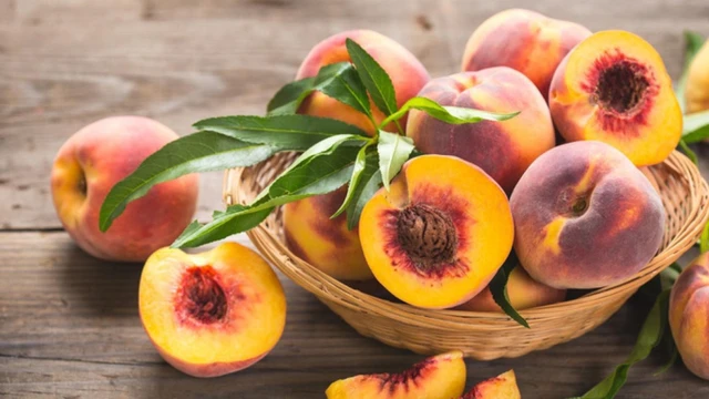 bai-viet/di-ung-qua-dao-la-gi-cach-chan-doan-va-xu-ly-kip-thoi.html