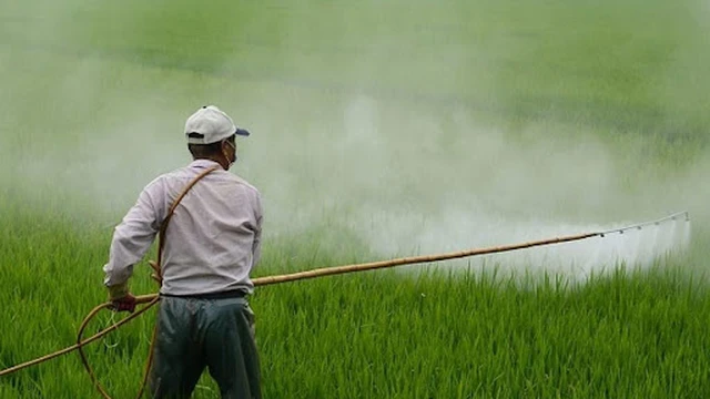 bai-viet/di-ung-thuoc-tru-sau-van-de-khong-the-xem-nhe-53150.html