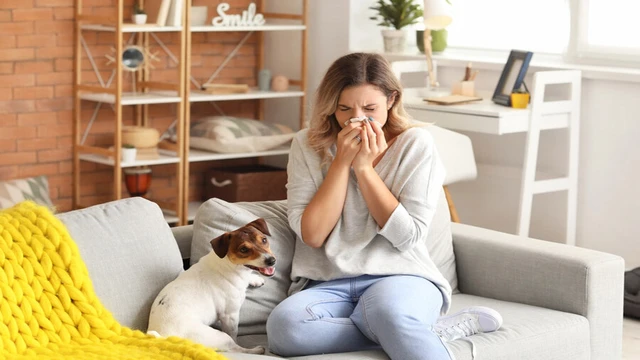 bai-viet/di-ung-vat-nuoi-la-gi-nguyen-nhan-va-cach-dieu-tri.html