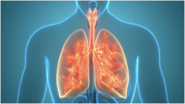 bai-viet/di-vat-trong-phoi-nguy-hiem-nhu-the-nao-cach-xu-ly-khi-gap-phai.html