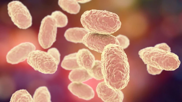 bai-viet/dien-bien-benh-bach-hau-tai-nhieu-dia-phuong-tro-nen-phuc-tap.html