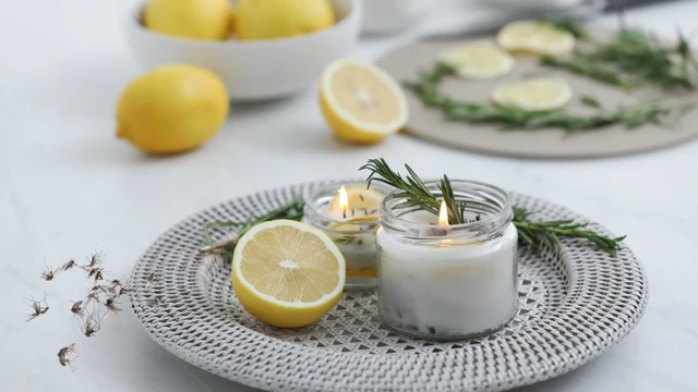 bai-viet/goi-y-cach-diet-con-trung-tai-nha-khong-dung-thuoc-va-hoa-chat.html