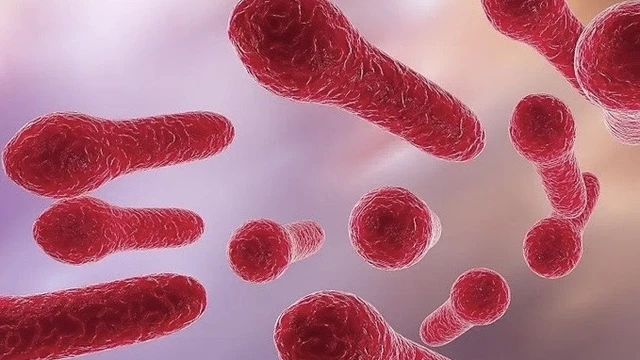 bai-viet/doc-to-uon-van-nguy-co-tiem-an-va-cach-phong-ngua-hieu-qua.html