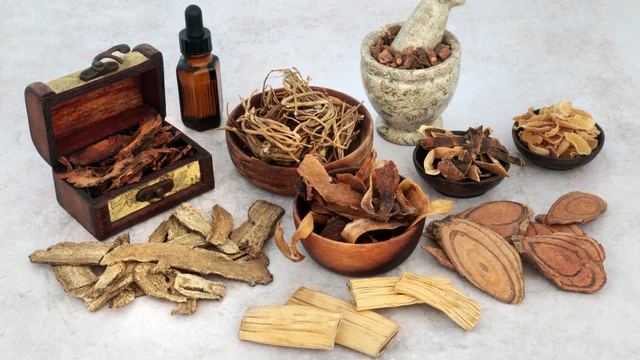 bai-viet/nguyen-lieu-kham-chua-benh-dong-y-la-gi-cac-loi-ich-cua-kham-benh-dong-y.html