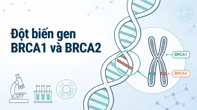 bai-viet/dot-bien-gen-brca-1-va-brca-2-la-gi-khi-nao-nen-xet-nghiem-dot-bien-gen-brca.html