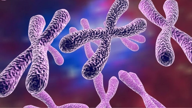 bai-viet/dot-bien-nst-va-nhung-dieu-can-biet.html