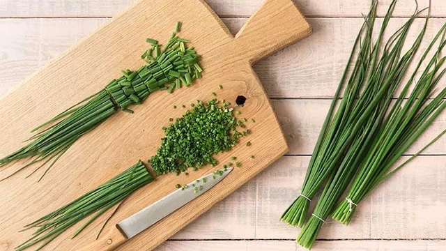 bai-viet/he-hap-duong-phen-tri-ho-cho-tre-so-sinh-va-me-bau-an-toan.html