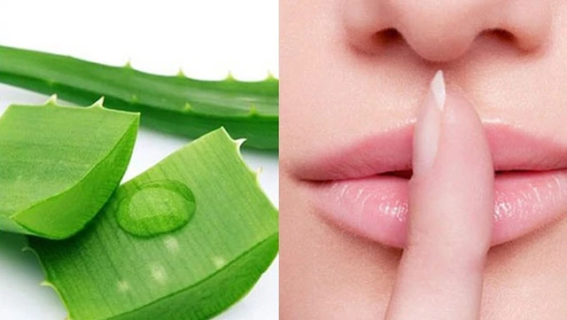 bai-viet/duong-moi-cang-hong-trang-diem-dep-hon-voi-nha-dam-49923.html