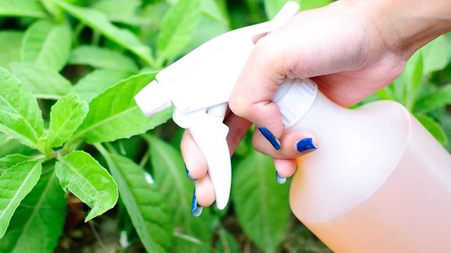 bai-viet/emamectin-benzoate-la-gi-ngo-doc-emamectin-benzoate-co-trieu-chung-gi-56822.html