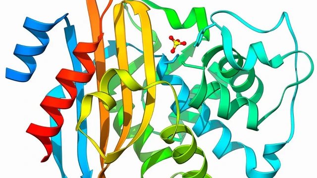bai-viet/enzyme-collagenase-la-gi-ung-dung-thuc-tien-cua-enzyme-collagenase.html