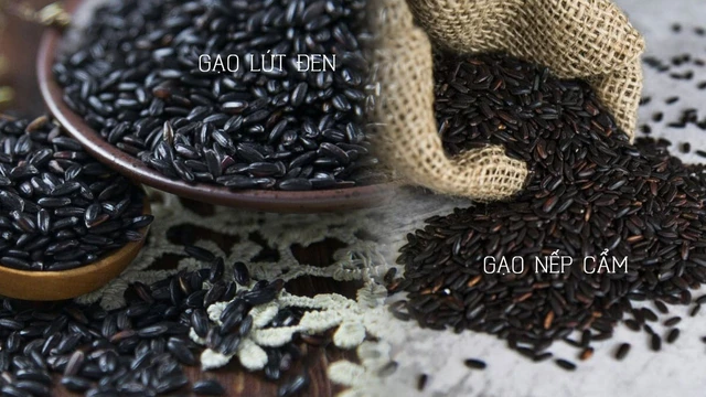 bai-viet/gao-nep-cam-va-gao-lut-den-co-giong-nhau-hay-khong.html