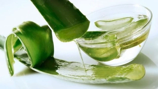 bai-viet/goi-y-tan-dung-gel-nha-dam-duong-toc-bong-benh-chac-khoe.html