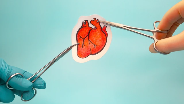 benh/ghep-tim-230.html