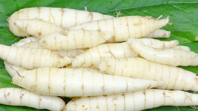 bai-viet/an-cu-dong-co-tac-dung-gi-thanh-phan-dinh-duong-co-trong-cu-dong.html