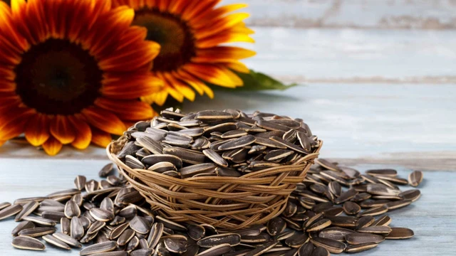 bai-viet/giai-dap-an-hat-huong-duong-co-tot-khong-71188.html