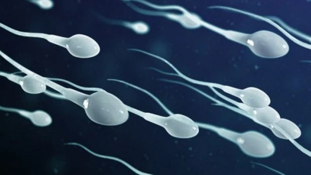 bai-viet/nam-gioi-sau-khi-that-ong-dan-tinh-thi-tinh-trung-di-dau.html