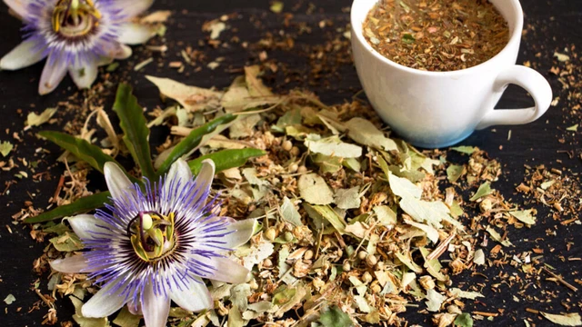 bai-viet/giai-dap-dau-da-day-co-uong-duoc-cay-lac-tien-khong-69226.html