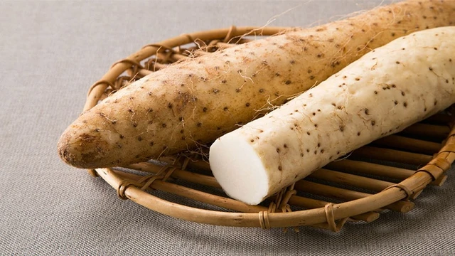 bai-viet/giai-dap-thac-mac-ba-bau-an-khoai-tu-duoc-khong.html