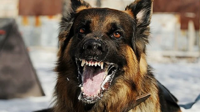 bai-viet/giai-dap-thac-mac-cho-khong-bi-dai-can-co-sao-khong.html