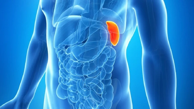 bai-viet/giai-dap-thac-mac-la-lach-nam-o-dau-va-co-vai-tro-gi.html