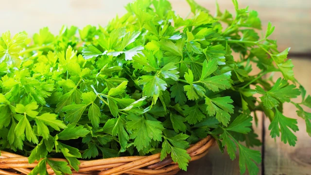 bai-viet/giai-dap-uong-nuoc-rau-mui-co-tot-cho-than-khong.html