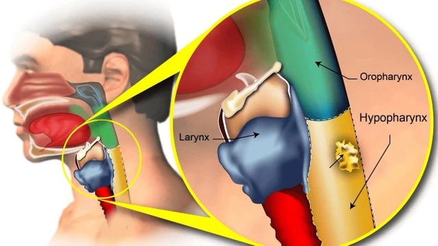 bai-viet/dac-diem-cau-truc-giai-phau-ha-hong-va-mot-so-benh-ly-lien-quan.html