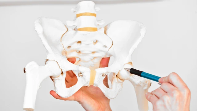 bai-viet/cau-truc-giai-phau-khop-hang-va-mot-so-benh-o-khop-hang-thuong-gap.html