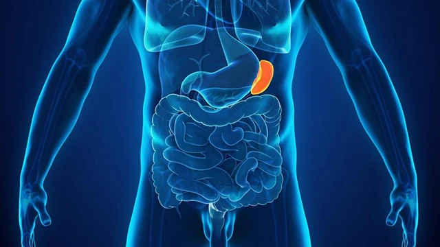 bai-viet/giai-phau-lach-cau-tao-chuc-nang-va-cac-benh-ly-thuong-gap.html