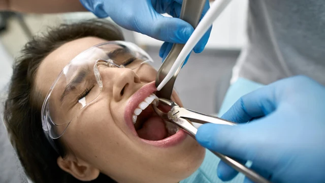 bai-viet/giai-phau-rang-cau-tao-va-chuc-nang-cua-tung-loai-rang.html