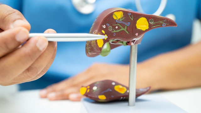 bai-viet/giai-phau-tinh-mach-cua-cau-truc-chuc-nang-va-vai-tro-lam-sang.html