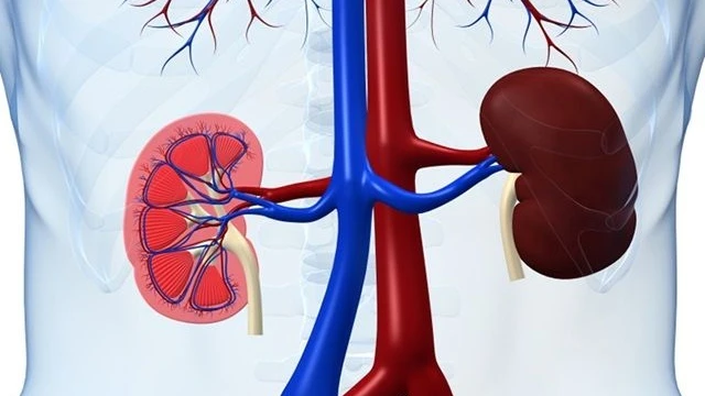 bai-viet/gian-dai-be-than-la-benh-gi-muc-do-nguy-hiem-cua-gian-dai-be-than.html