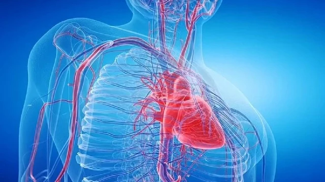 bai-viet/gian-dong-mach-vanh-la-gi-trieu-chung-cach-dieu-tri-va-phong-ngua-benh.html