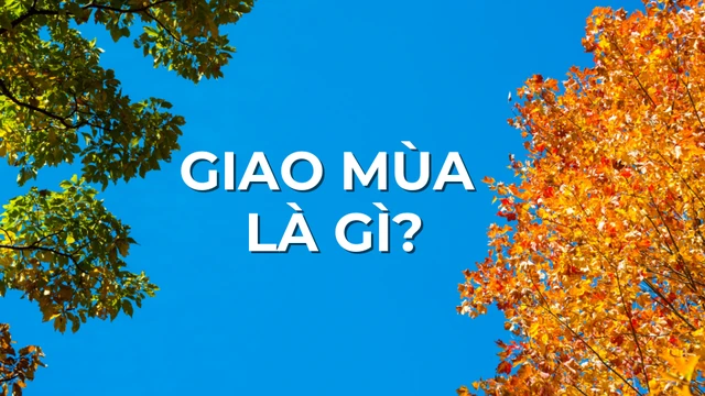 bai-viet/giao-mua-la-gi-cac-benh-thuong-gap-khi-giao-mua-va-cach-phong-tranh.html