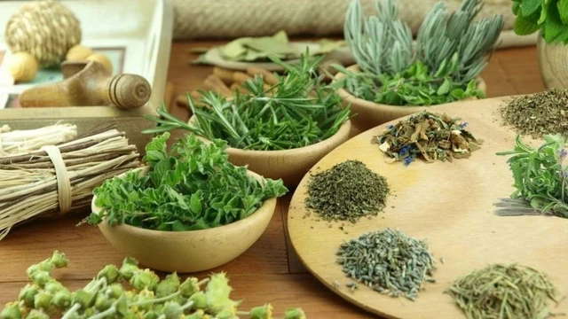 bai-viet/gioi-thieu-ngay-cac-cay-thuoc-loi-tieu-tu-nhien-hieu-qua.html