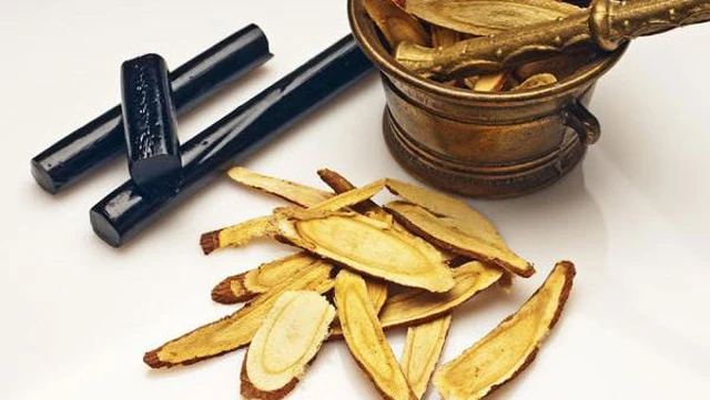 bai-viet/goc-giai-dap-cam-thao-co-nen-dung-hang-ngay-khong-60991.html