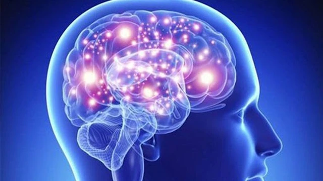 bai-viet/goc-giai-dap-hoat-huyet-duong-nao-co-tac-dung-gi-58692.html