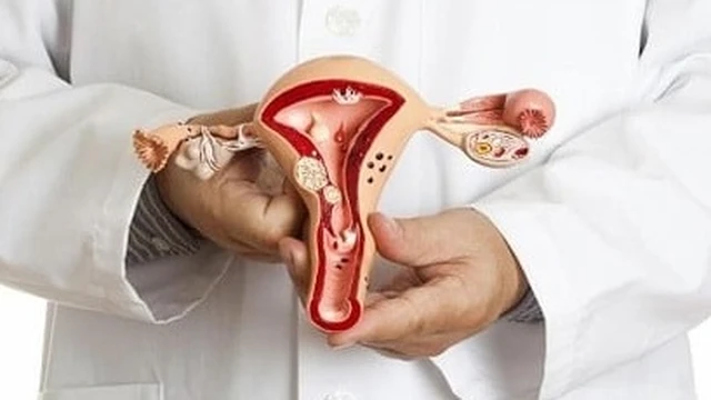 bai-viet/goc-giai-dap-nen-an-gi-de-niem-mac-tu-cung-day-va-dep-70661.html