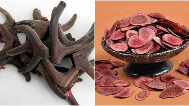 bai-viet/goc-giai-dap-nguoi-cao-huyet-ap-co-dung-duoc-nhung-huou-khong.html