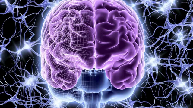 bai-viet/goc-giai-dap-nguyen-nhan-gay-nhiem-trung-than-kinh-trung-uong-la-gi.html