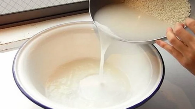 bai-viet/goi-dau-bang-nuoc-vo-gao-co-tac-dung-gi-66623.html