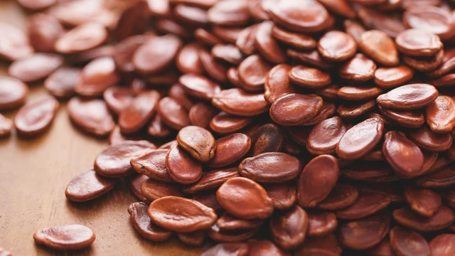 bai-viet/hat-dua-bao-nhieu-calo-cach-an-hat-dua-khong-lo-tang-can.html